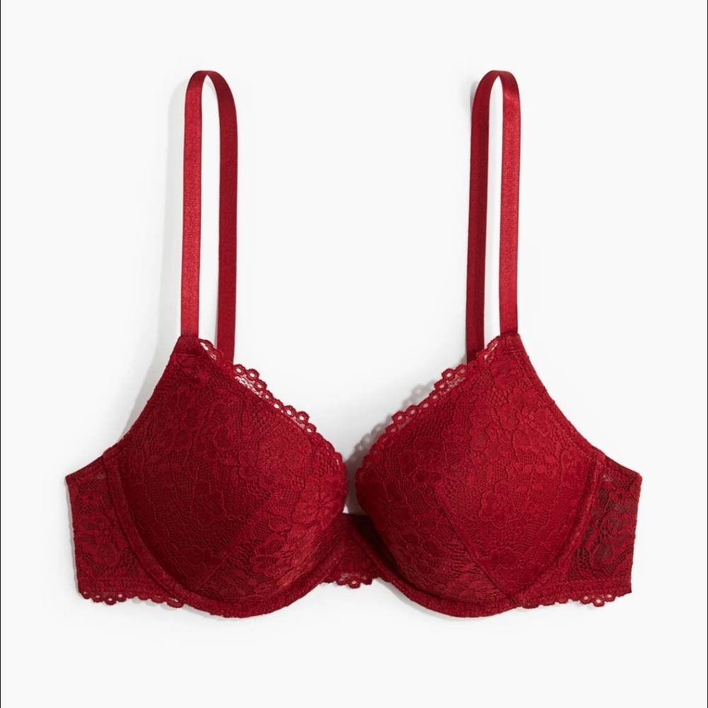 Red Lace Bra - Picture 1 of 8